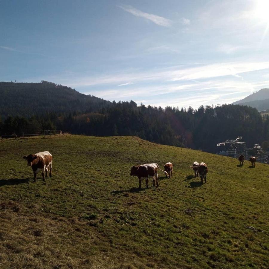 Willa S'Heimatgfuehl Schwarzenberg  Zewnętrze zdjęcie